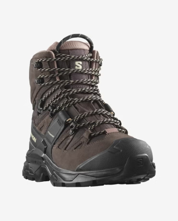 Ботинки QUEST 4 GTX W (RU 38 UK 6 USw 7.5 СМ 24; shopping bag/black/cork)